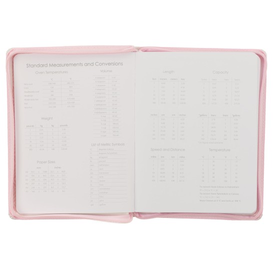 Hope and a Future Pink Faux Leather 2025 Large 18-month Planner for Women - Jeremiah 29:11