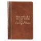 Promises from God for Every Man Two-tone Brown Faux Leather Promise Book